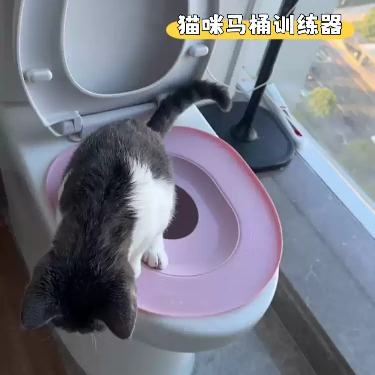 猫马桶训练器幼猫上厕所坐便器免