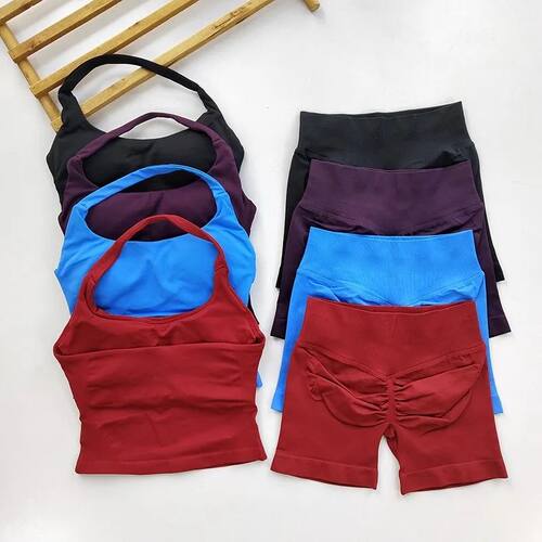 Yoga 2 Pieces Gym Set Women Backless Halter Tops High Waist