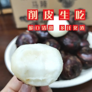 脆吉吉正宗广西桂林新鲜马蹄荸荠地栗农家自种脆甜水果爽口即食