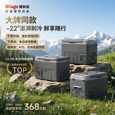 车家两用压缩机制冰柜12V24V货车