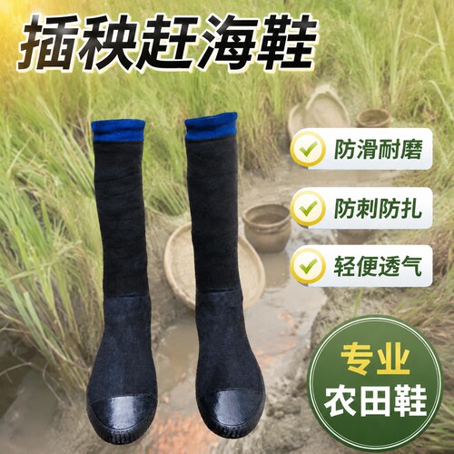 插秧鞋赶海鞋泥地浅滩防扎防刺软底轻便透气钓鱼高弹力厚袜子鞋