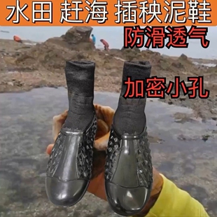 栽秧泥鞋赶海户外防蚊虫贴脚袜子鞋耐磨洗车鞋农田男女款钓鱼涉水
