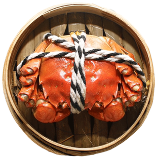 【礼券】金沐运澄大闸蟹礼券提货券 全母蟹3.0两 8只装