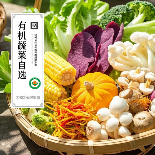 云南有机蔬菜新鲜应季蔬菜宝宝辅食青菜叶菜有机菜5份包邮顺丰发