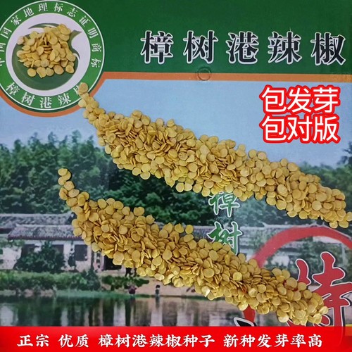 2025正宗樟树港辣椒种子原种