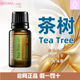 Tea 多特瑞茶树精油 Tree 茶树 Doterra 官网正品 美国多特瑞精油