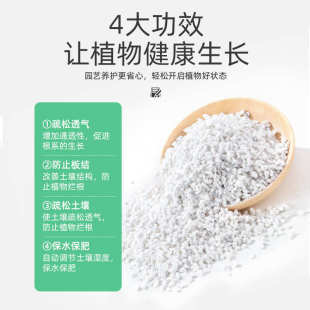 珍珠岩大颗粒小养花用蛭石膨胀月季多肉兰花专用扦插园艺营养土