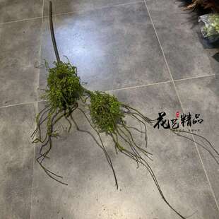 仿真树藤树枝树杈攀爬树枝枯藤枯树枝苔藓青苔造景森林陈列花艺
