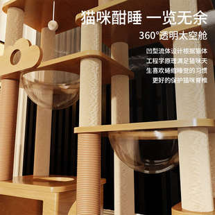 猫架猫爬架家用顶天立地猫爬架通天柱猫爬架猫窝一体四季通用