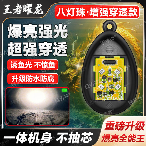 可视锚鱼浮漂高灯新款王者归来钓鱼专用超亮神器防水六代正品夜钓