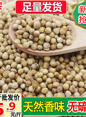 今年新货大颗粒香菜籽克g包邮芫荽籽胡荽籽香籽子粉芫种子调料香