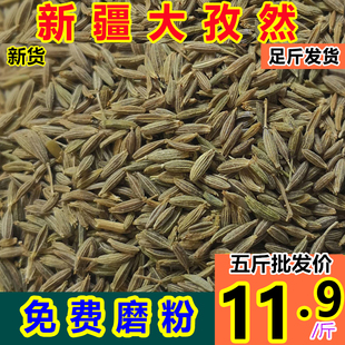 纯真正农家孜然粒g克子然商用孜然大颗粒包邮烧烤烤肉调撒料新疆