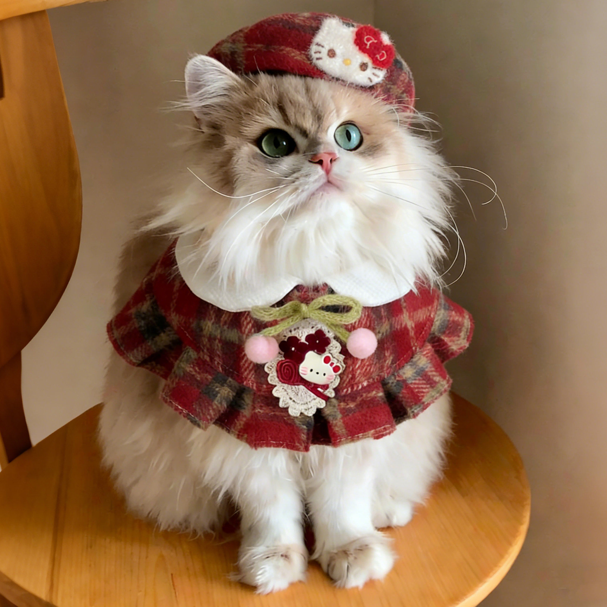 可爱宠物猫咪围脖格子披肩口水巾帽子套装小型犬比熊泰迪衣服2026