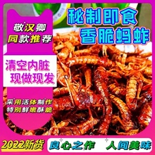 秘制香辣蝗虫油炸蚂蚱即食零食昆虫活虫蚱蜢虫子小吃 官方自营