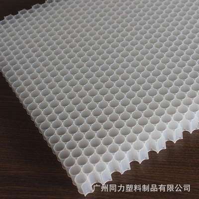 厂家供应滤网蜂窝 塑料蜂窝 活性炭pp塑料蜂窝芯 PP塑料蜂窝芯