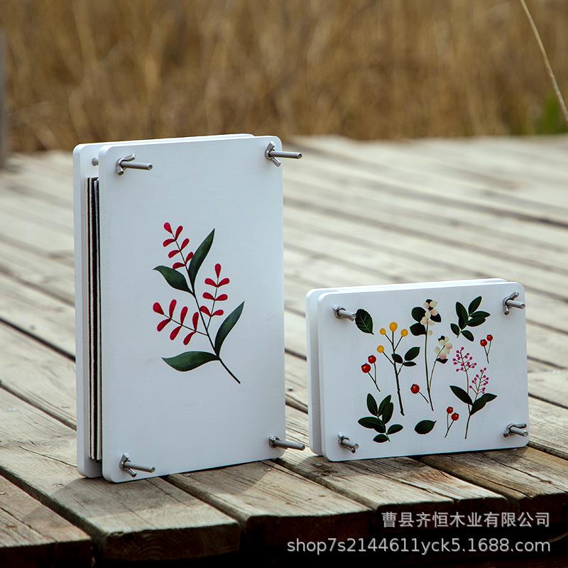 抖音花器压花器植物标本QH-08制作工具手工制作干花水果片干叶D树