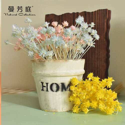 巴西植物 小山花 干花花束 家居装饰手工diy真花花材拍照道具