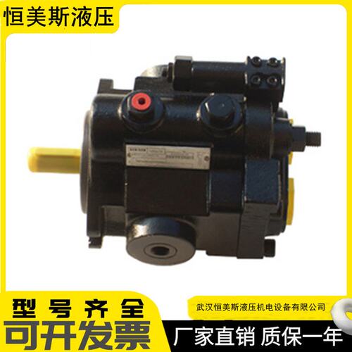 丹尼逊定量柱塞泵PV20-2L1D-J02，柱塞泵A4VS0125DR/30R-PPB13N00
