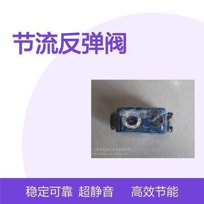 节流反弹阀 供应 S15P15-1X/V R901148053 力士乐