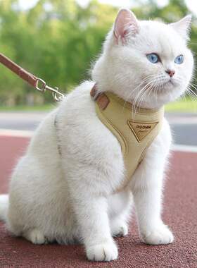 Cat Puppy Outdoor Walking Supplies Fashion Pet Harness and L