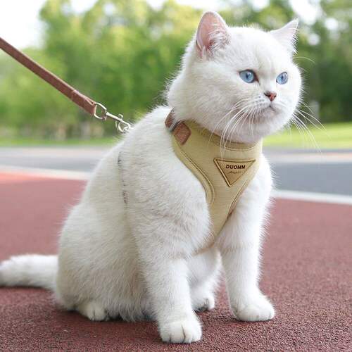 Cat Puppy Outdoor Walking Supplies Fashion Pet Harness and L