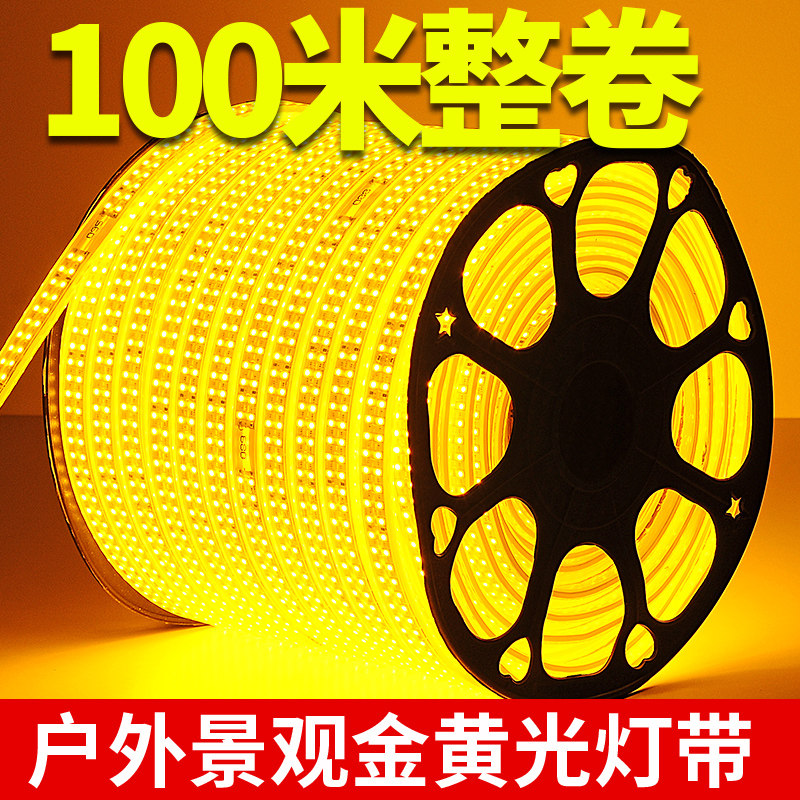 100米金黄光LED灯带条工程亮化景观照明户外防水220V室外装饰