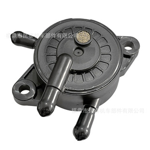 Stratton 808656 49040 for 0770 003 Briggs Z0J 燃油泵 16700