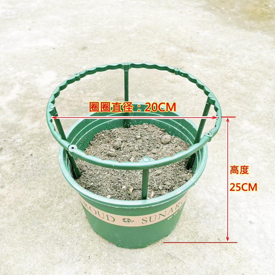 蟹爪兰花架支架多肉太阳花支撑防倒伏新款可拼接单层兰花架护叶架