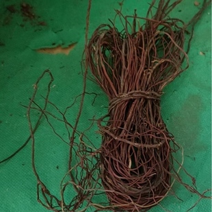 龙须根鱼缸雨林造景沉木装饰榕树根须藤蔓条模型植物情景地台枯藤