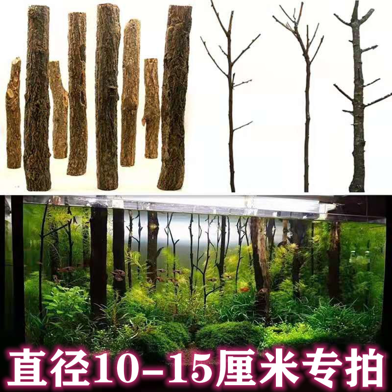 鱼缸沉木森林树干水草造景