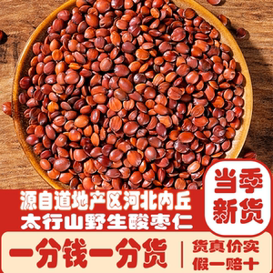 河北正宗野生酸枣仁【假一赔十】