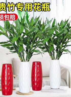 富贵竹专用花瓶北欧高级感仿陶瓷花瓶客厅干花真花水养插花瓶摆件