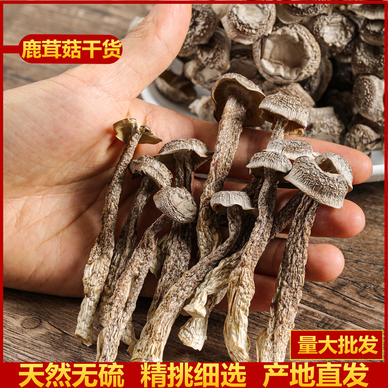 特级500g包邮天然无硫鹿茸菇干货