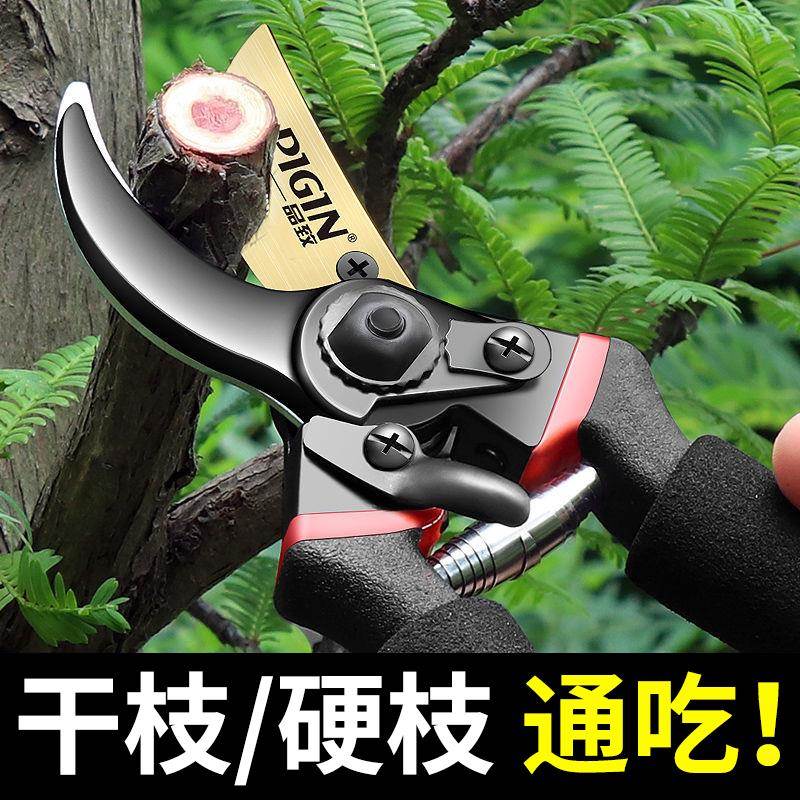 枝树剪修剪刀花剪园林果树修枝剪园艺剪刀剪子工具摘水果花椒神器