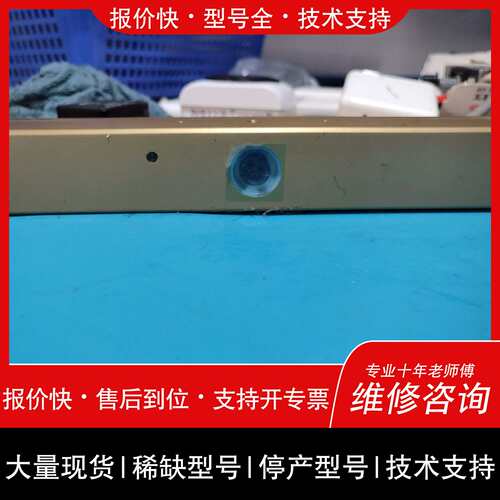 可维修加拿大灰点Bumblebee POINTGREY BBX3议价