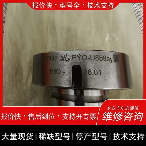 可维修【速发】MAN L28/32 柱塞偶件， L'Orang议价