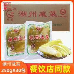 桂盛潮州酸咸菜250g袋装潮汕特产杂咸配粥小菜下饭菜酸菜鱼配料