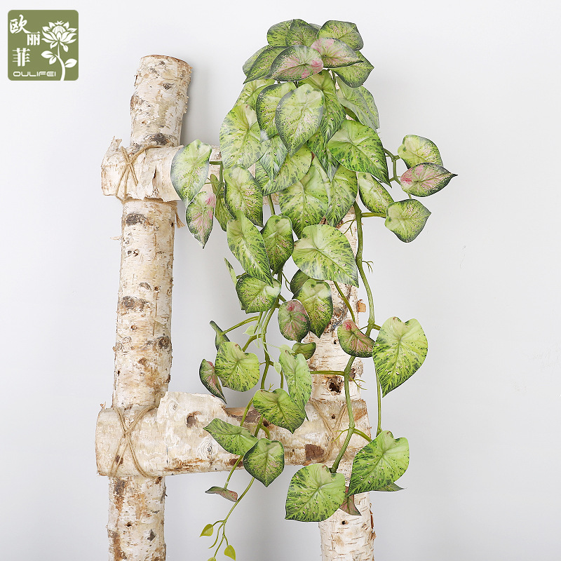 欧丽菲仿真绿植壁挂 仿真芋叶龟背挂悬挂 人造植物藤蔓装饰叶子
