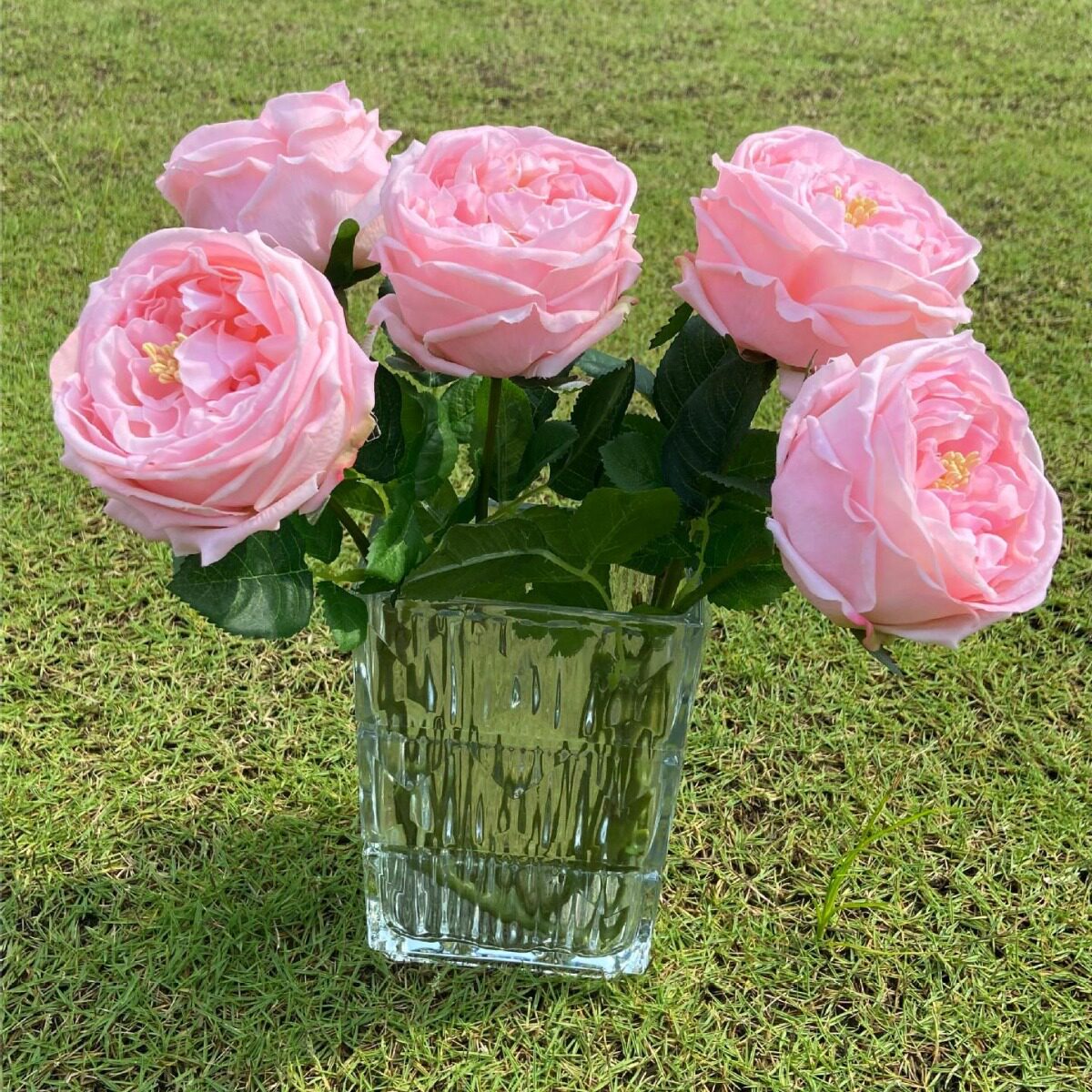 手感保湿玫瑰花 单支奥斯汀手感玫瑰 小红书抖音热卖玫瑰花束