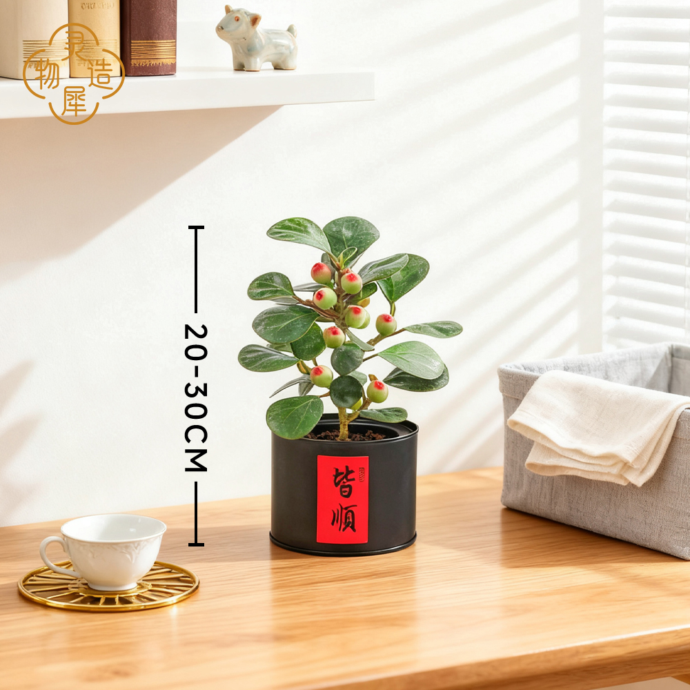 小盼菩提盆栽带果桌面禅意绿植