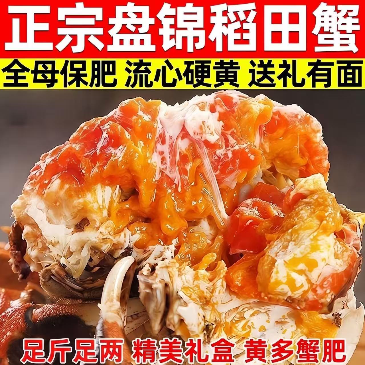 盘锦鲜活无绳净大闸蟹礼盒顺丰