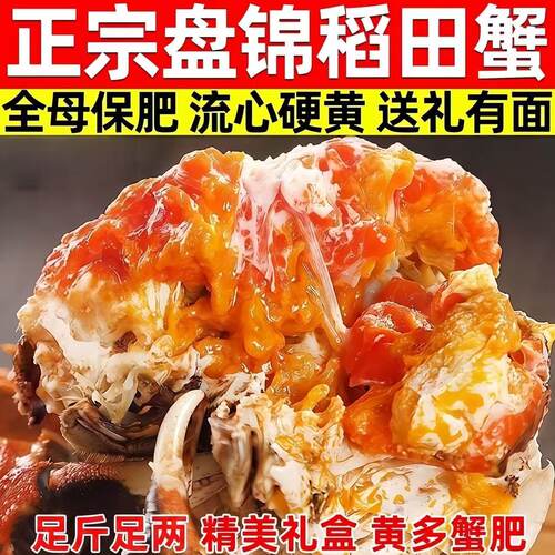 盘锦鲜活无绳净大闸蟹礼盒顺丰