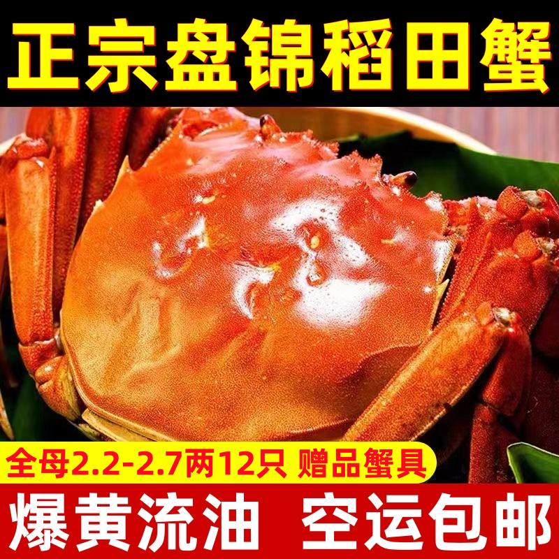 盘锦河蟹六月黄鲜活全母公2.2-2.7两稻田蟹海鲜水产大闸蟹礼盒装