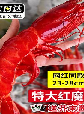 大海十三刺身级生冻红魔虾超大虾