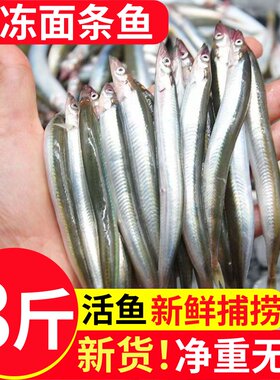 青岛海捕鲜冻无冰面条鱼油炸鲜香