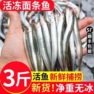 青岛面条鱼鲜活冷冻泥鳅鱼新鲜海捕小青鱼海鲜非沙丁鱼小银鱼顺丰