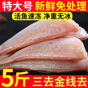 三去金线鱼新鲜冷冻海鱼金线鱼免处理海鲜鱼类红衫鱼海鱼顺丰包邮