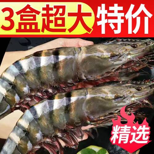 大海十三特价超大黑虎虾新虾上市