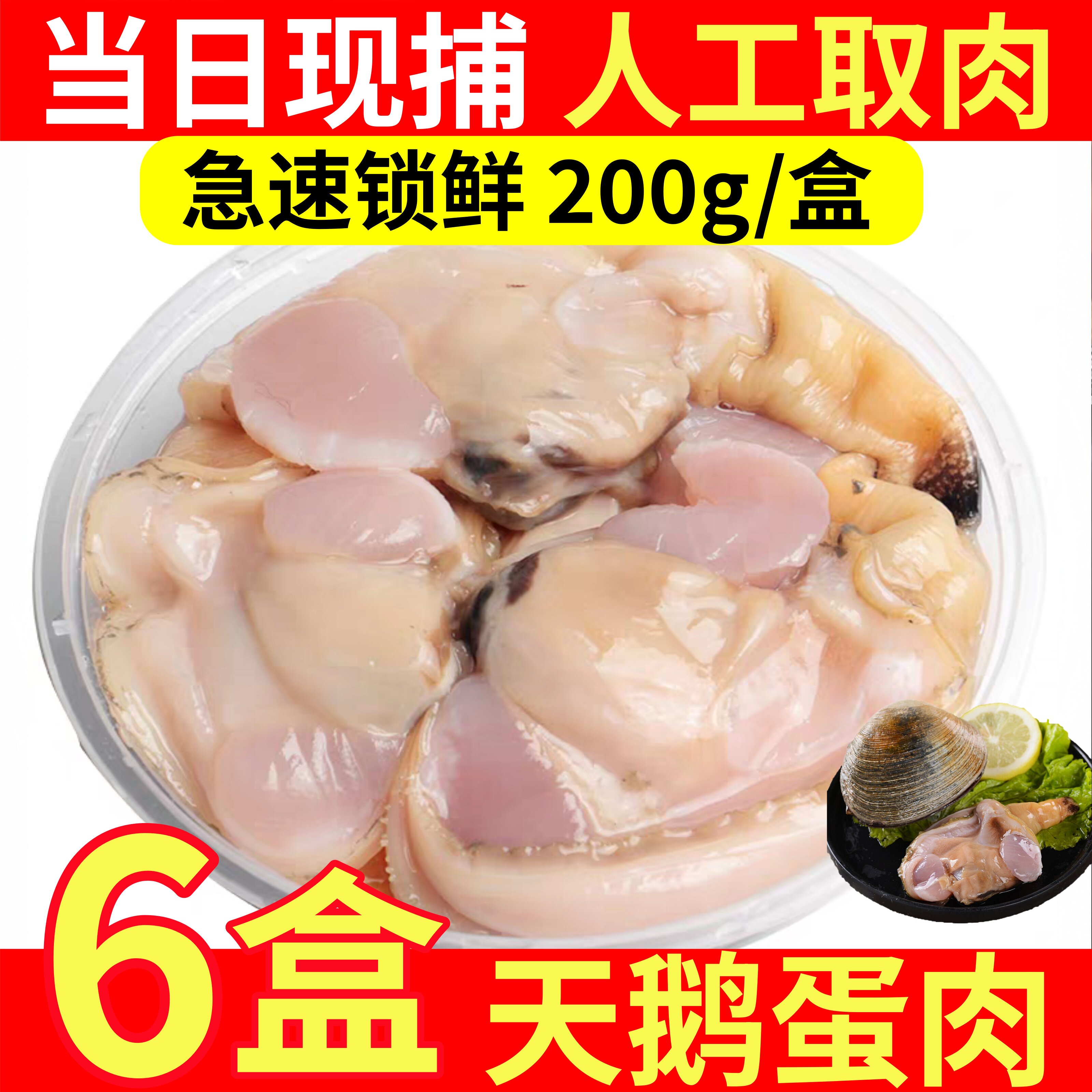 天鹅蛋肉海鲜去壳纯肉当季现捕蛤蜊紫石房贝贝类水产烧烤食材顺丰