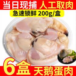 天鹅蛋肉海鲜去壳纯肉当季现捕蛤蜊紫石房贝贝类水产烧烤食材顺丰